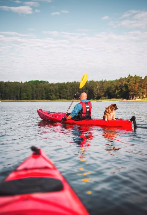 Is Kayaking Dangerous if You Don't Use a Life Jacket?