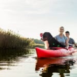 Kayaking With Dog