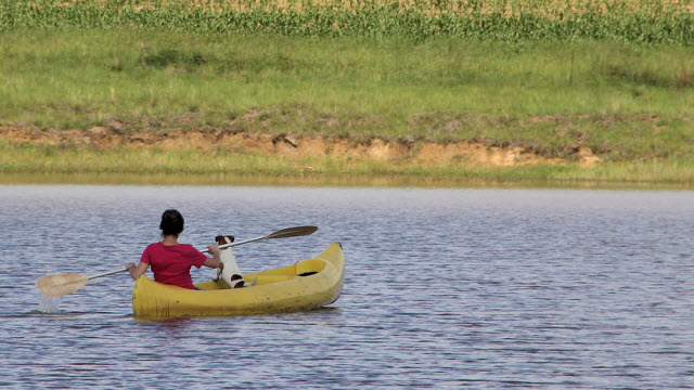 Dog in a Kayak