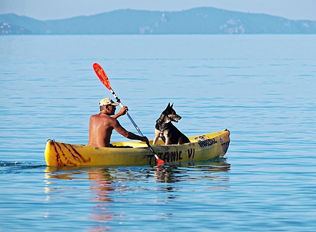 Kayaking with a Dog