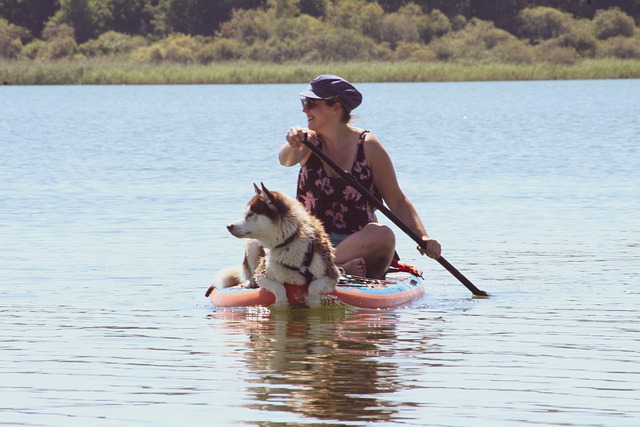 Paddle Boarding with a Dog on Board for Company