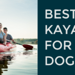 Best Kayaks for Dogs