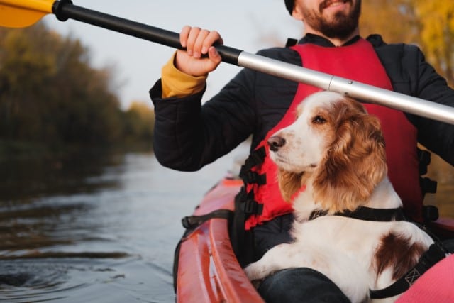 Best Kayak to Paddle With a Dog