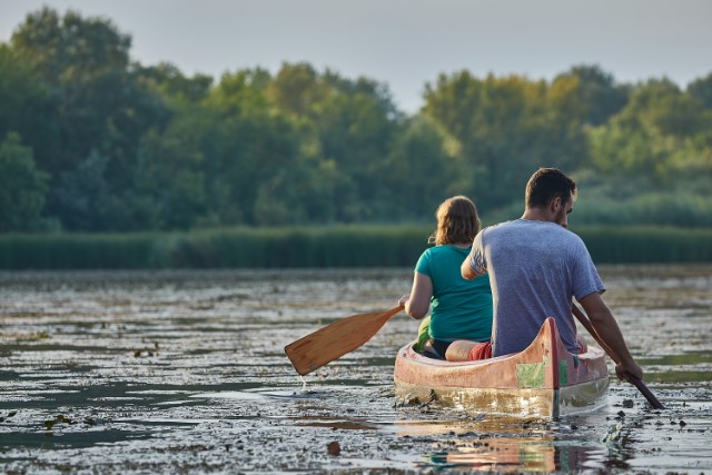 Cedar Wooden Canoe Paddles