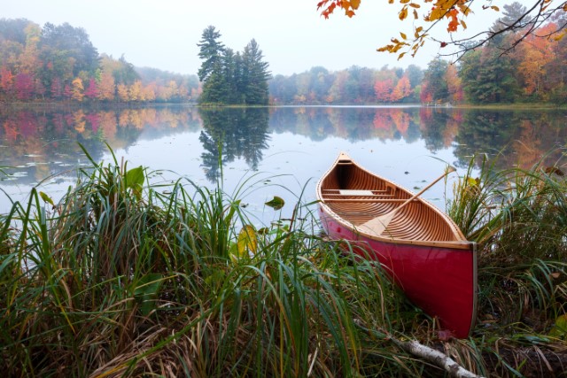 How to Choose the Best Wood for Canoe Paddles