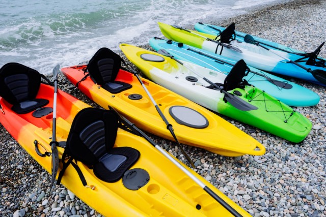 Pros and Cons of Kayaks and Paddleboards